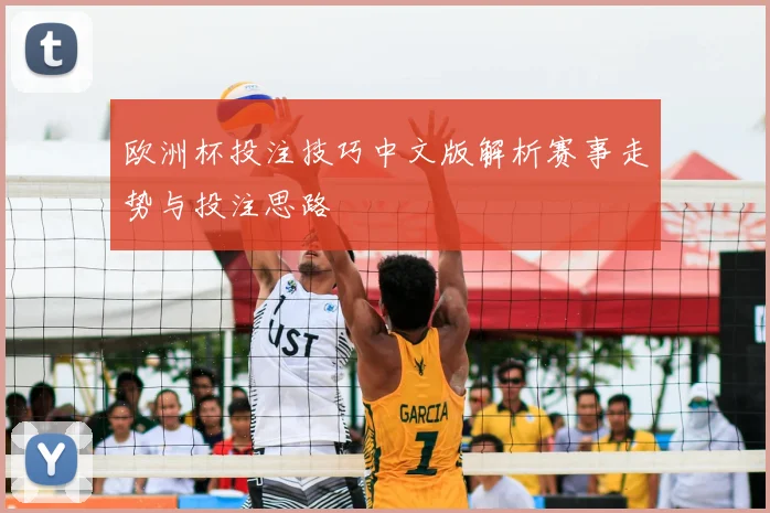 欧洲杯投注技巧中文版解析赛事走势与投注思路