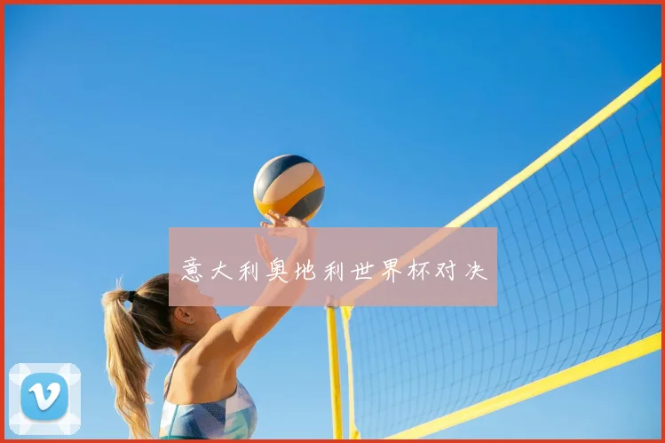 意大利奥地利世界杯对决