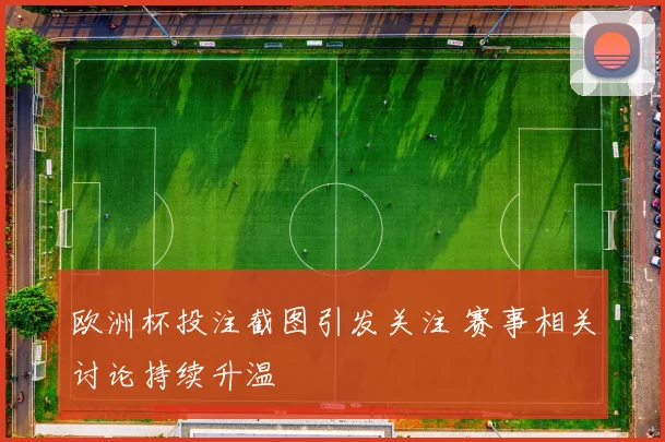 欧洲杯投注截图引发关注 赛事相关讨论持续升温