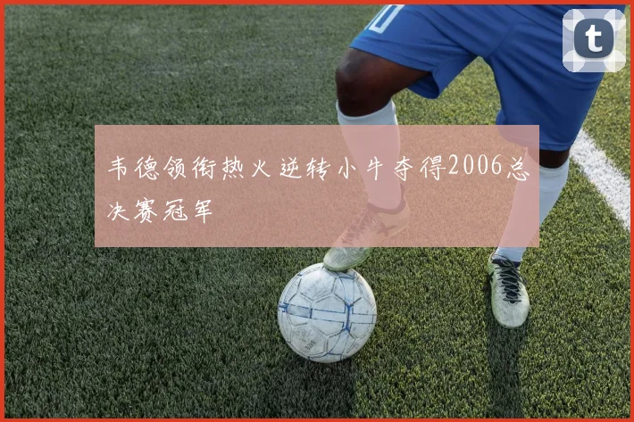 韦德领衔热火逆转小牛夺得2006总决赛冠军