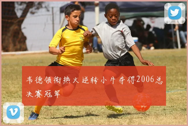 韦德领衔热火逆转小牛夺得2006总决赛冠军
