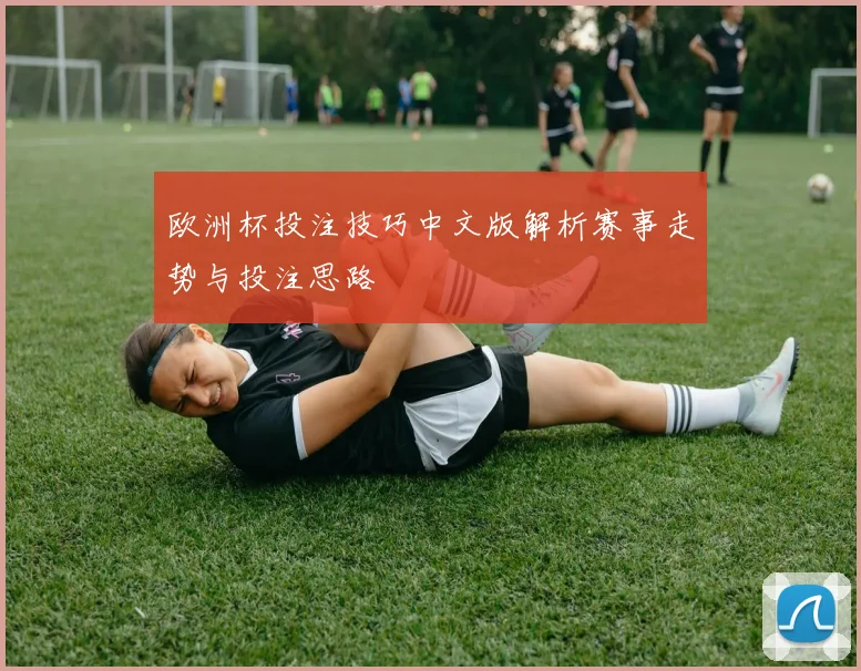 欧洲杯投注技巧中文版解析赛事走势与投注思路