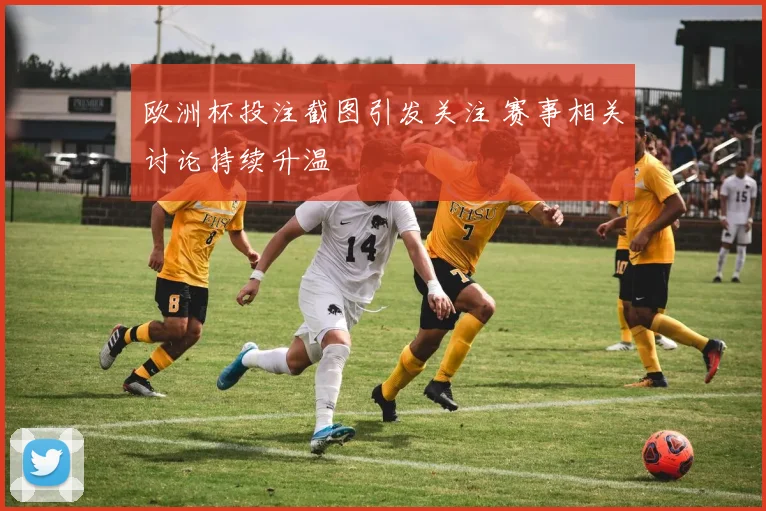 欧洲杯投注截图引发关注 赛事相关讨论持续升温