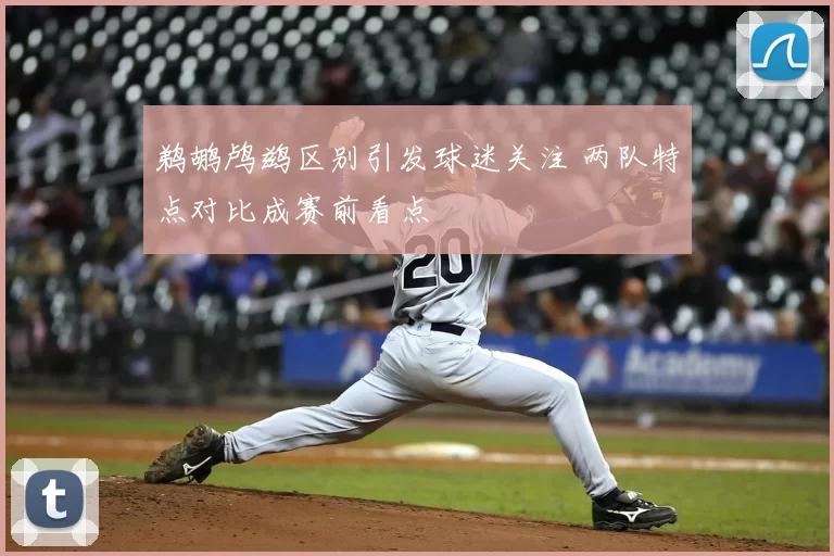 鹈鹕鸬鹚区别引发球迷关注 两队特点对比成赛前看点