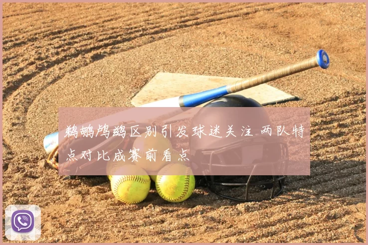 鹈鹕鸬鹚区别引发球迷关注 两队特点对比成赛前看点