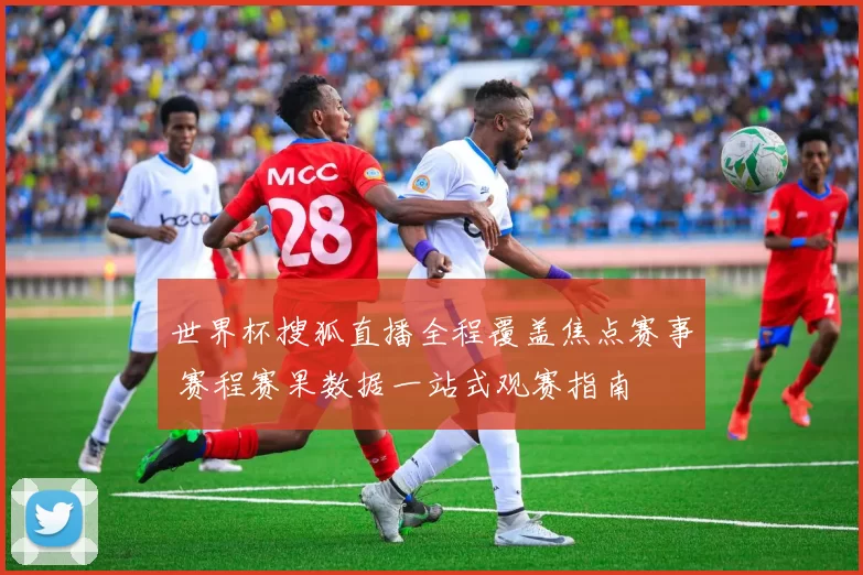 世界杯搜狐直播全程覆盖焦点赛事 赛程赛果数据一站式观赛指南