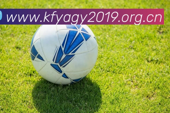 ky体育官网app登录入口平台生态图